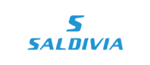 Logo Saldivia Buses